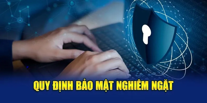 Điều Khoản Dịch Vụ